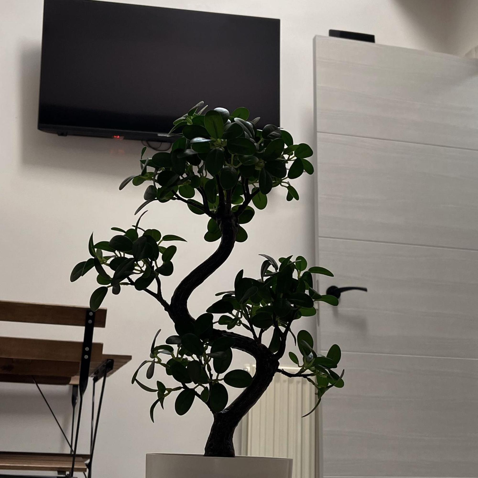 Apartamento Calera Burgos Bagian luar foto